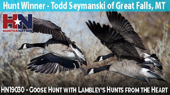 HN19030-Lambleys-Goose-Hunt-Todd-Seymanski_544