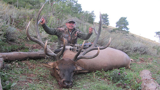 2026 Dream Hunts (60 Entries) - Image 4