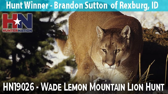 HN19026-Wade-Lemon_Mountain-Lion_544