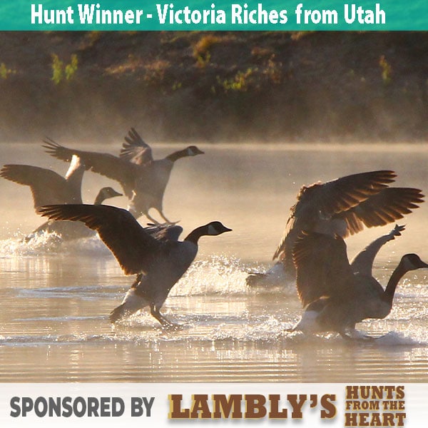 2020_Dream_Hunts-Winner-Goose-Hunt-Victoria-Riches_600x600