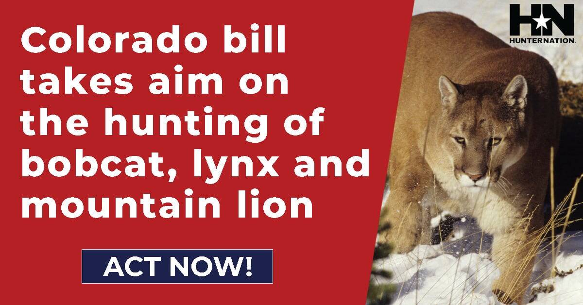 Hunter-Nation-CO-Predator-Hunting-Ban-1200x628-20220115 Hunter-Nation-CO-Predator-Hunting-Ban-1200x628-20220115