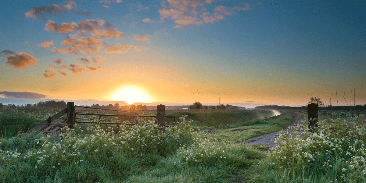 KM-John-Farm_GI-478561100_1200x600