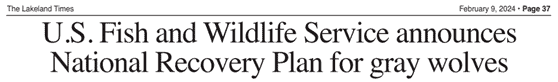 WOLF_Lakeland-Times_Review-of-Gray-Wolf-Recovery-2024-02 WOLF_Lakeland-Times_Review-of-Gray-Wolf-Recovery-2024-02