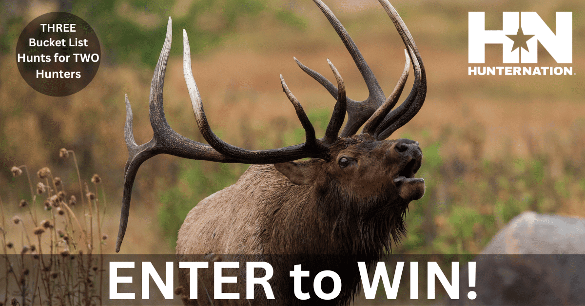 HN-DH-ELK01_FB-1200x628_White