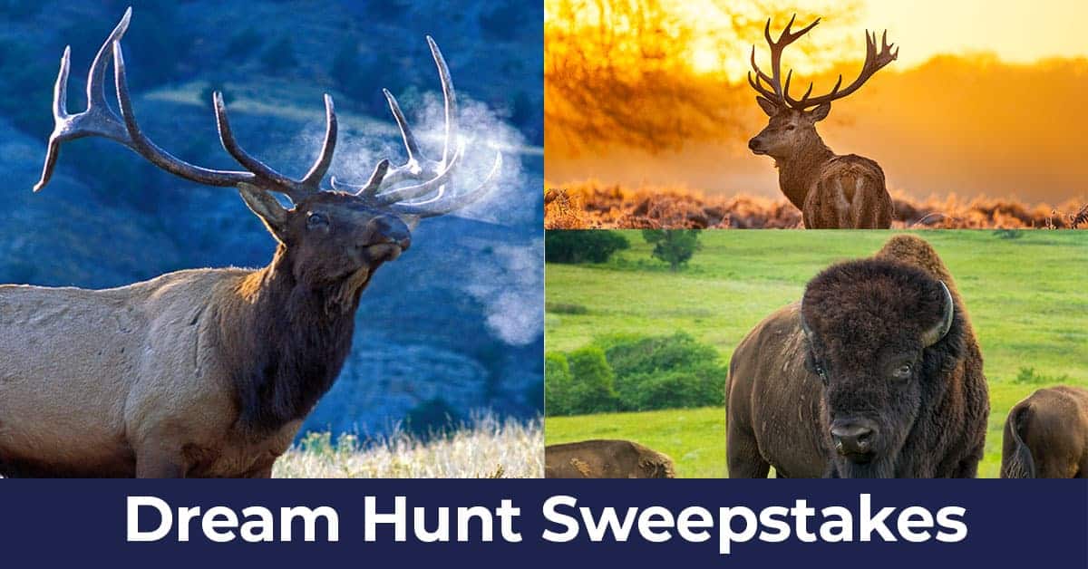 Hunter-Nation-2024-Dream-Hunts-2x1-Elk-Red-Stag-Buffalo_1200x628 Hunter-Nation-2024-Dream-Hunts-2x1-Elk-Red-Stag-Buffalo_1200x628