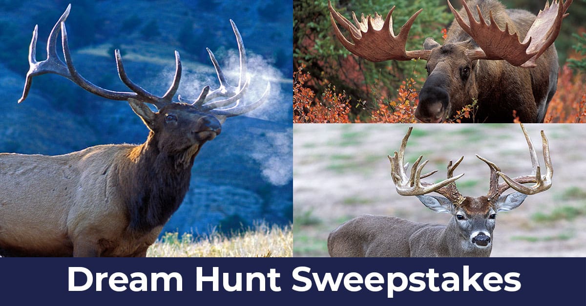 Hunter-Nation-Dream-Hunts-2025-ADs_1200x628__2025-10a