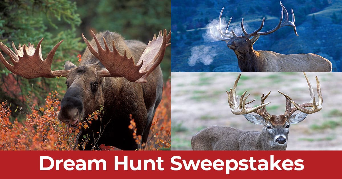 Hunter-Nation-Dream-Hunts-2025-ADs_1200x628__2025-10d