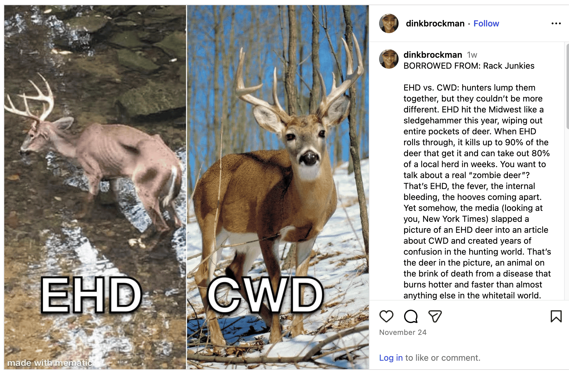 EHD vs. CWD comparison graphic that’s circulating among hunters. Image originally created by Rack Junkies; shown here via repost.