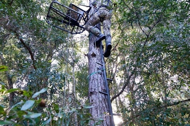 Alabama_TreeStand